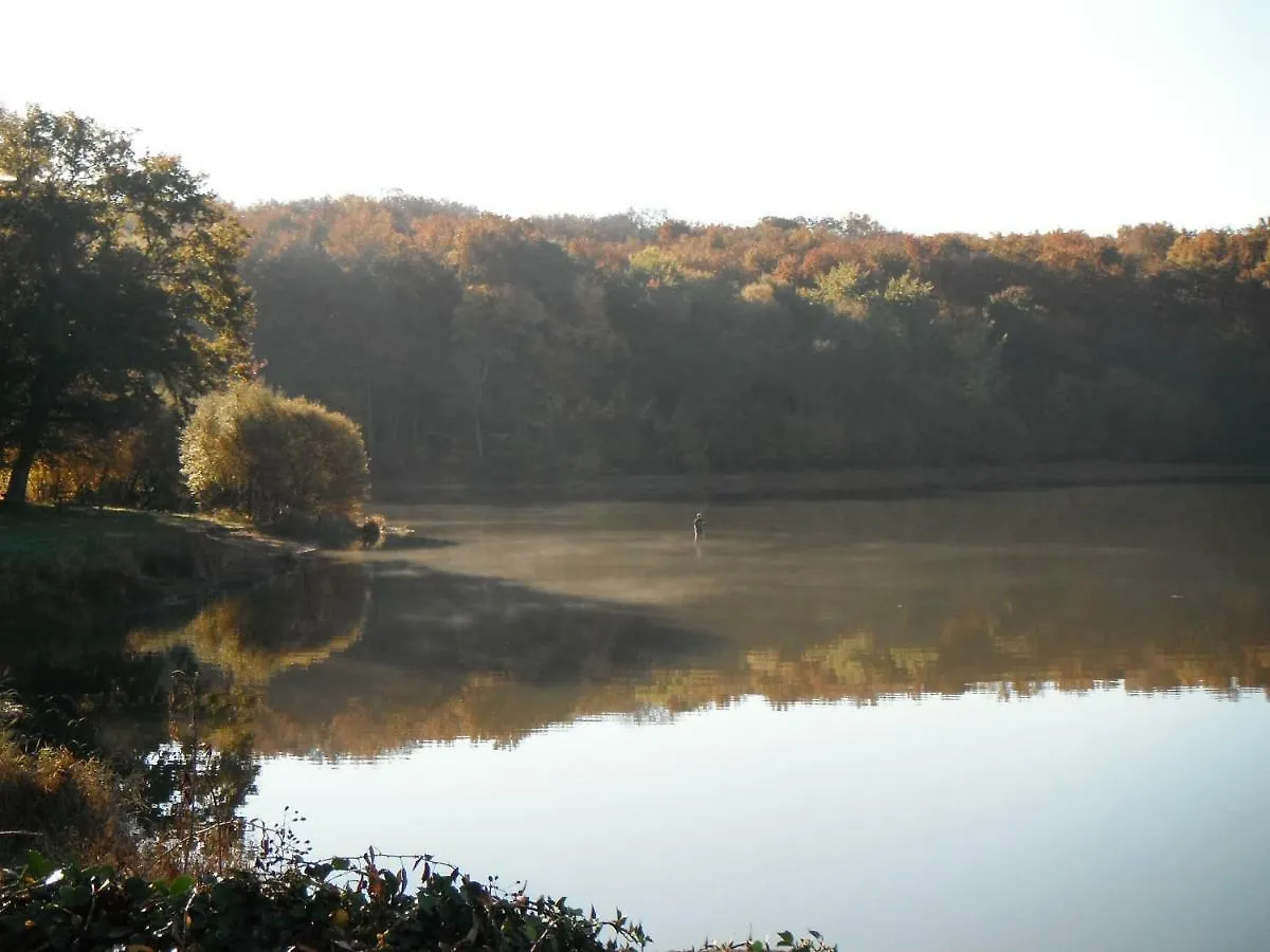 Maison De L'Etang Διαμέρισμα Troncais